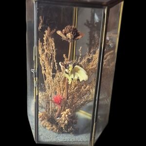 Vintage Dried Flower Arrangement In A Glass Brass Octagon Terrarium  With Door
